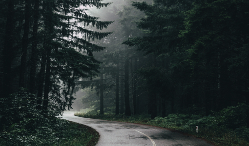 sync licensing opportunities-2