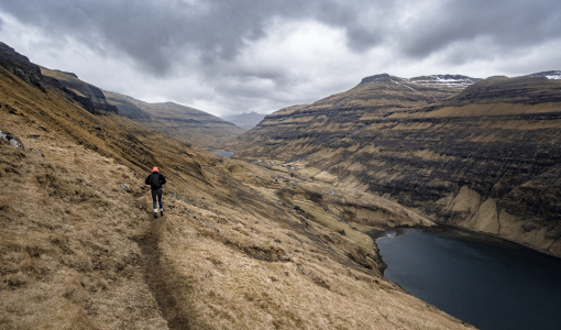 sync licensing opportunities-3