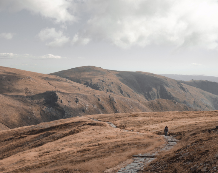 sync licensing opportunities-5